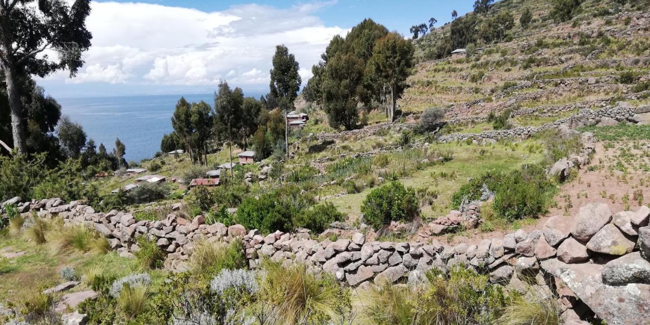 Taquile Hospedaje Mario Huillanopampa Exterior photo