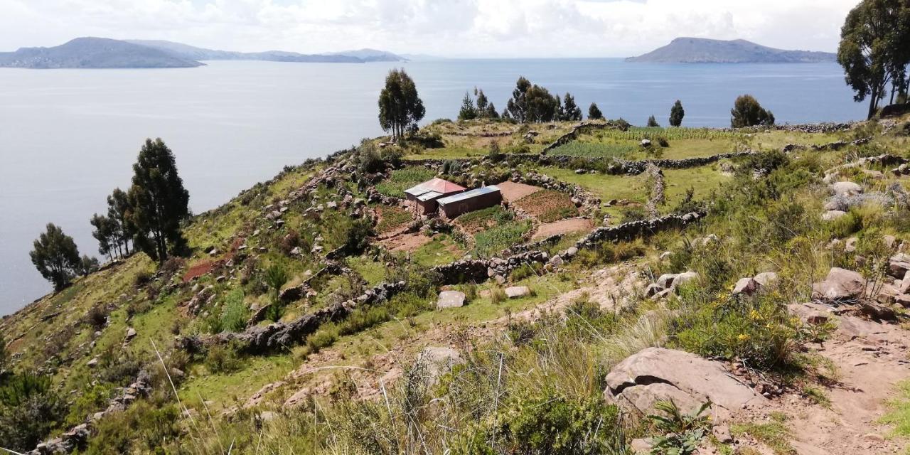 Taquile Hospedaje Mario Huillanopampa Exterior photo